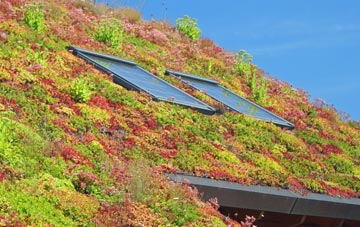 Puddle living roof systems
